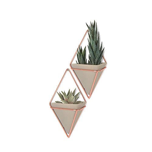 Wall Decor Containers-for Succulents