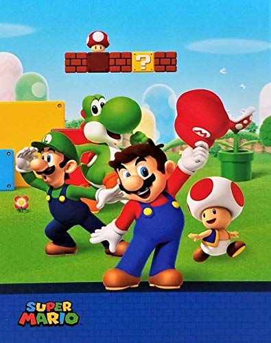 Super Mario Brothers Silky Soft Throw ● 40" x 50"